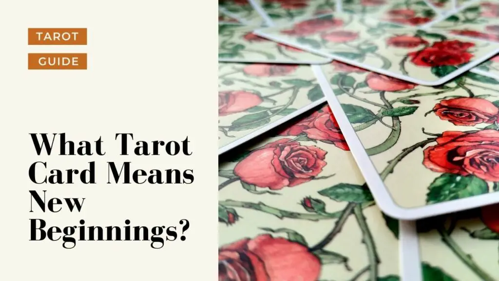 What Tarot Card Means New Beginnings?