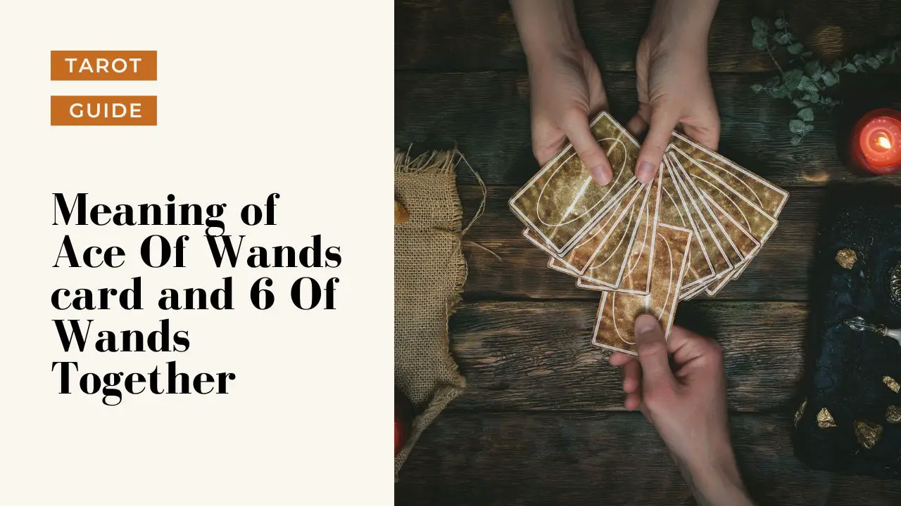 This image has an empty alt attribute; its file name is The-Fool-3-Of-Wands-meaning-1024x576.jpg