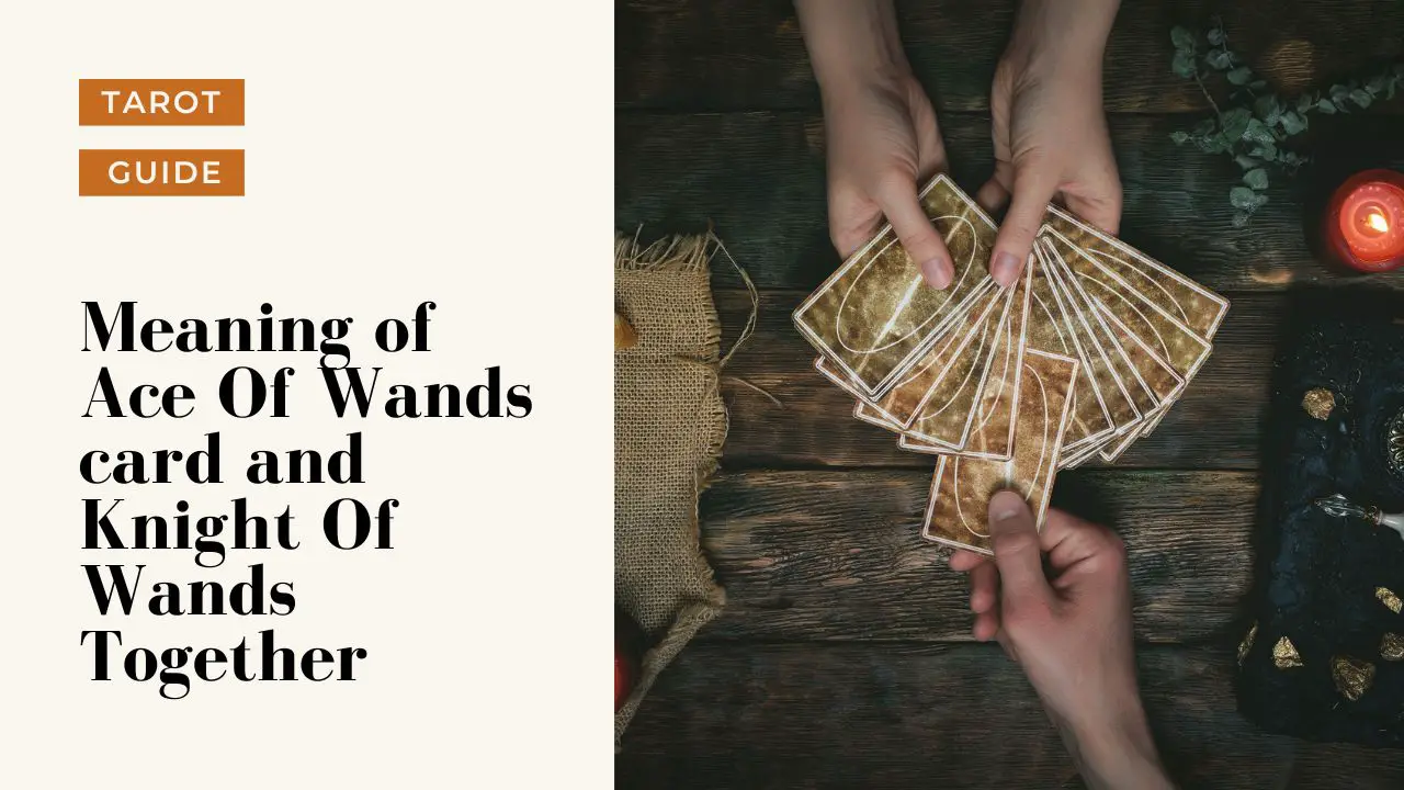 This image has an empty alt attribute; its file name is The-Fool-3-Of-Wands-meaning-1024x576.jpg